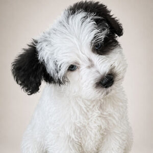 Cash/Angel's Princess