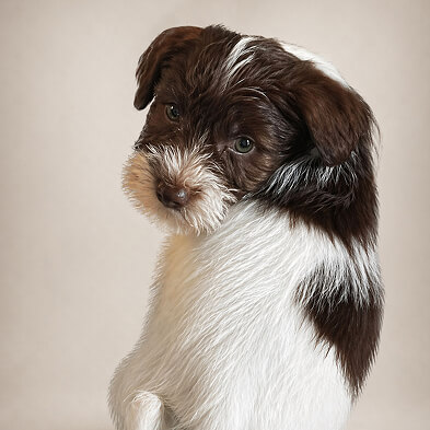 Cash/CoCo's Little Darling