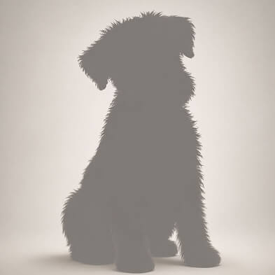 Puppy Coming Soon #1