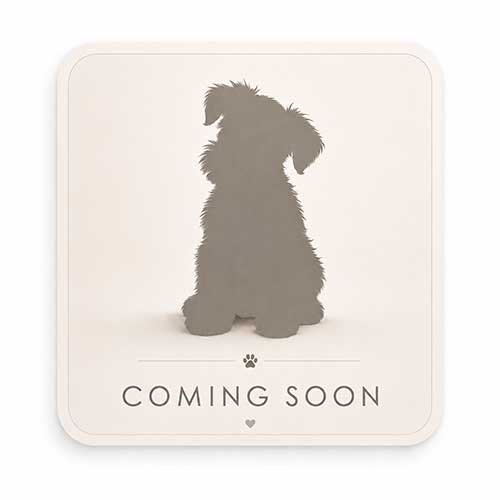 Coming Soon